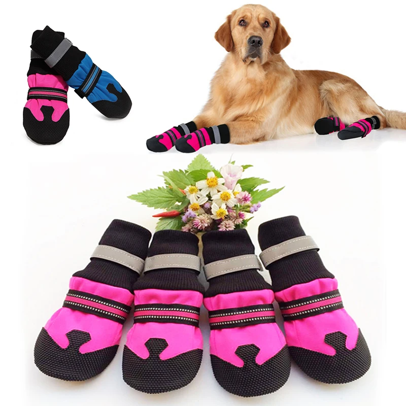 walking shoes for dogs