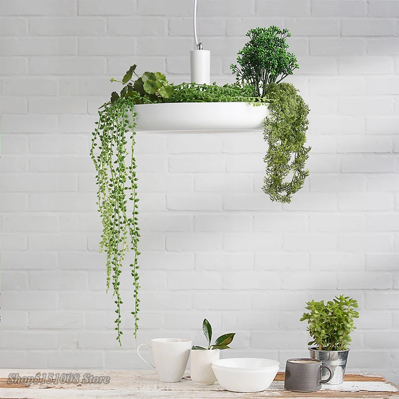 Северное растение подвесные светильники DIY небо сад светодиодная лампа