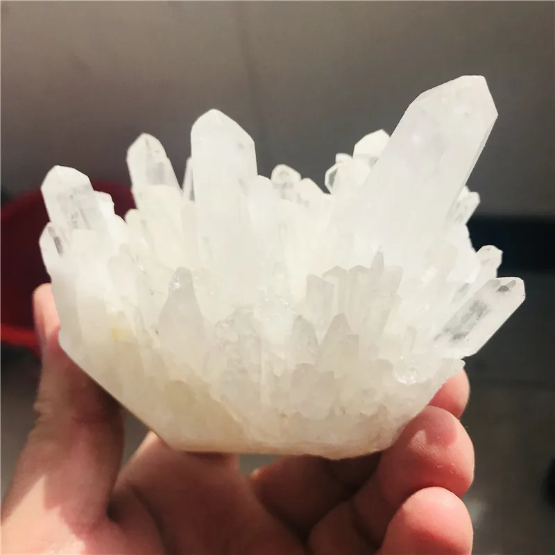 2020_03_14_13_23_IMG_2634