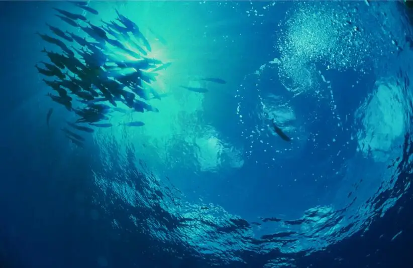 QQ截图20200902204115