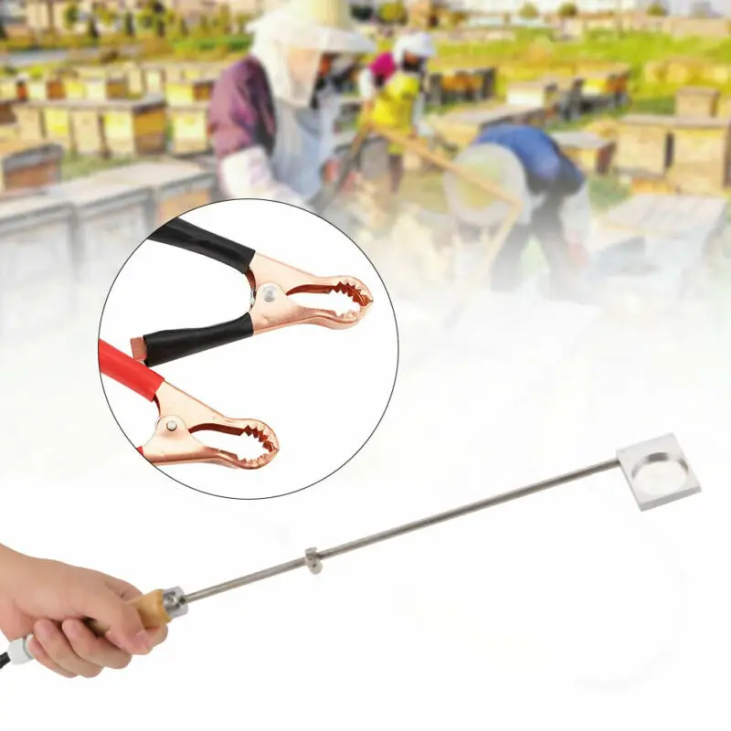 

12V 150W Bee Vaporizer Oxalic Acid Beekeeping Varroa Mites Treatment Equipment Bee Evaporator New Arrival