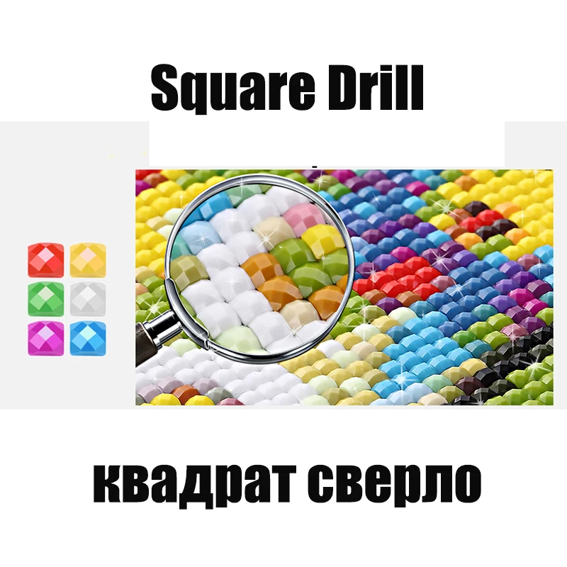 5D DIY Алмазная картина канадский гусь, мозаичная вышивка с животными, вышивка крестиком, рукоделие, украшение для дома, подарок - Цвет: Square Drill