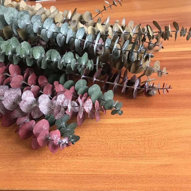 QQ图片20200811093724