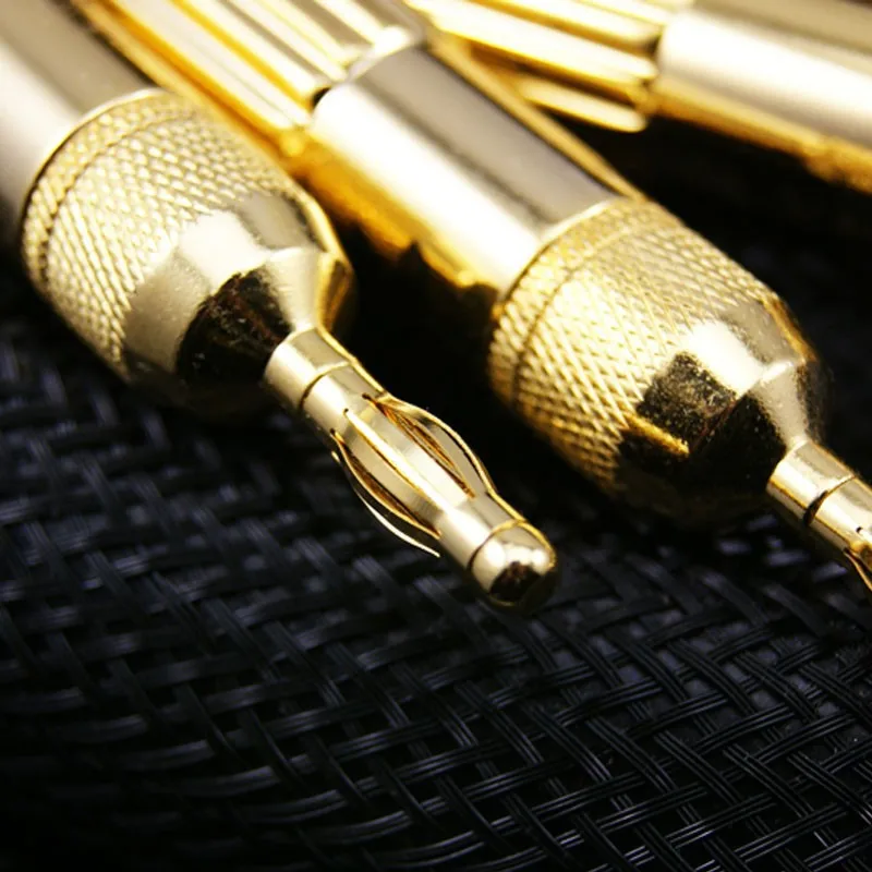 Высококлассный hi Fi кабель для динамика Choseal LA 5101 6N OCC 24K позолоченный Банановый