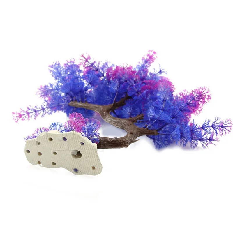 4113872906_251430030