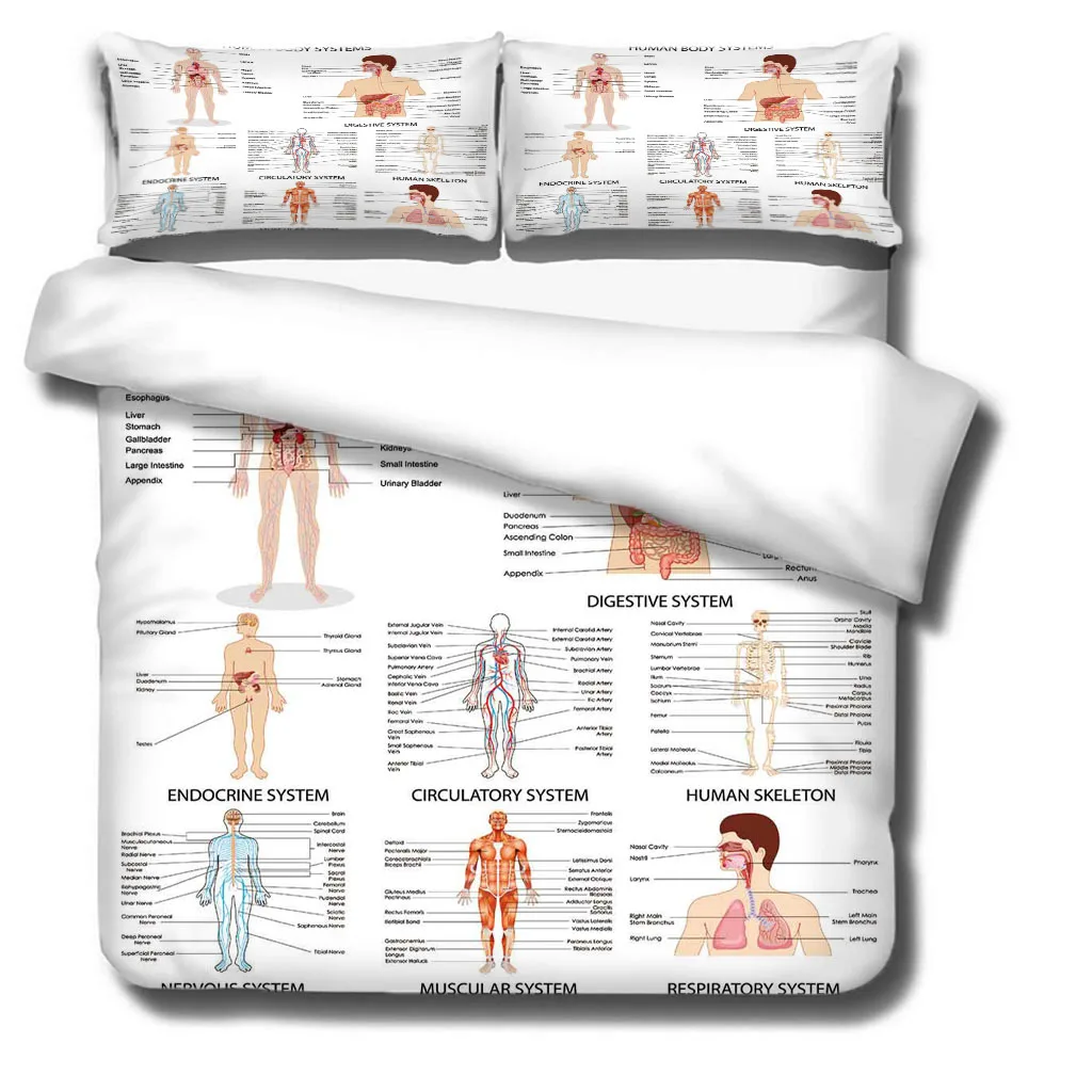 Human System Medical Display 3/2Pcs Duvet Cover Pattern Bedding Sets Child Comforter Soft Twin Single Full Queen King Pillow 