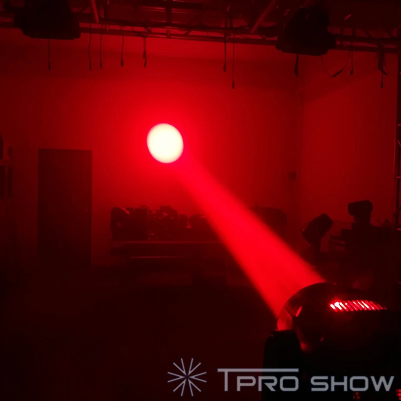 Bee-eyes-moving-head-feature-6