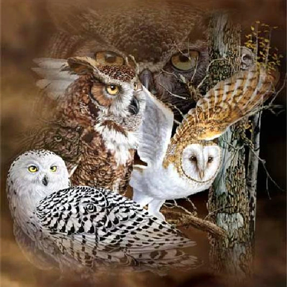 

Full 3D Square Diamond Embroidery Cross Stitch Three Owl DIY Full Square Stick Drill Drawing Resin Diamond Painting Rhinestone