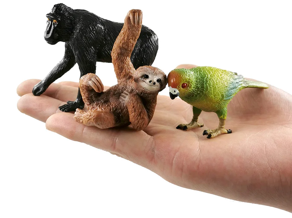 详情页-23款-黑冠猕猴-小树懒等_02