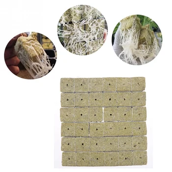 

Media Hydroponic Soilless Cultivation Compress Rockwool Cubes for Garden Greenhouse Orchard Sun Room Hydroponic Applications