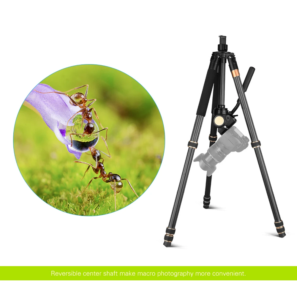 Andoer 6" Профессиональный штатив для камеры Canon Nikon sony DSLR штатив для камеры с подвижной головкой из углеродного волокна Максимальная нагрузка 15 кг