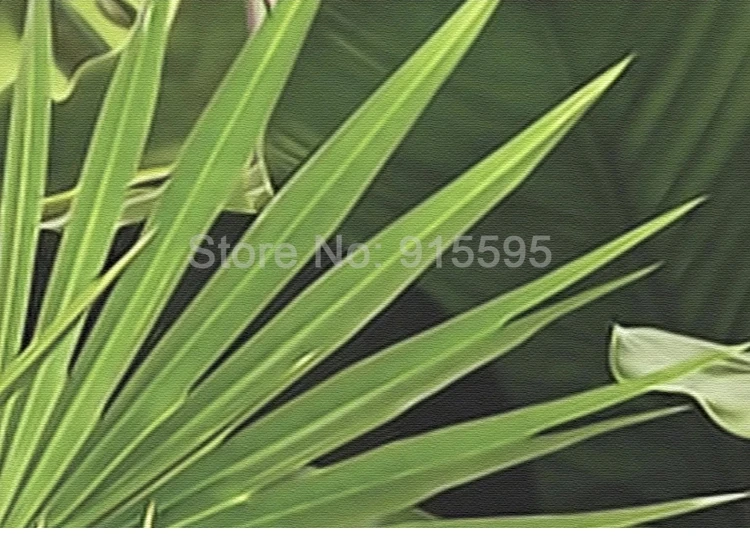 utensílios para pintura e tratamento de parede