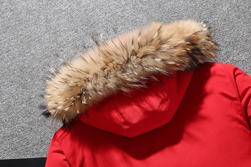 H746a49f41298482d86595df06e569db2p