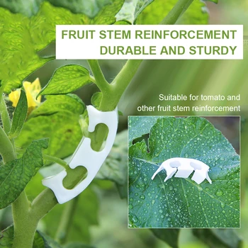 

Tomato Fixing Clip Fruit Sapling Reinforcement Clip Spike Handle Anti-Bend Watermelon Hanging Seedling Clip Hanging Mand