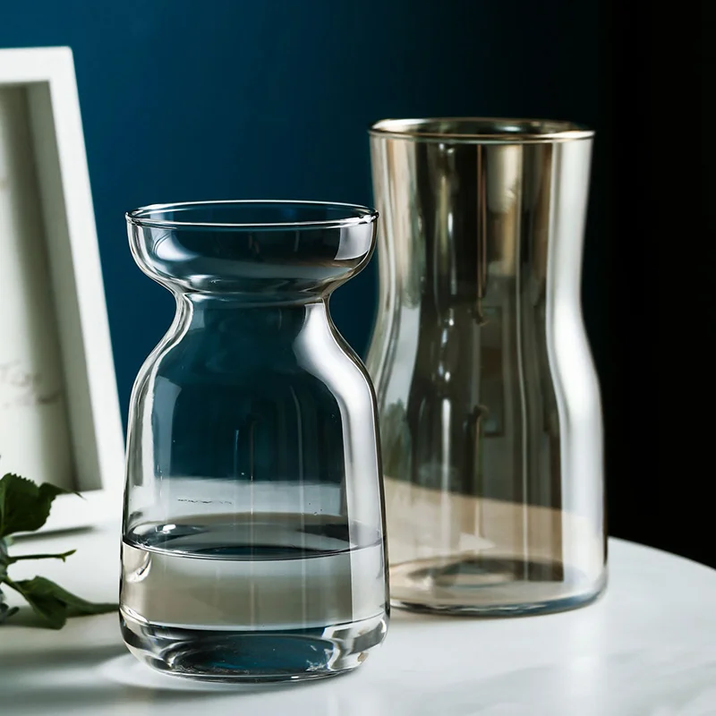 

Nordic glass vase, aquaculture plant utensils, living room decoration, flower arrangement, water culture and dried vase