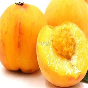 

Ngryise 5Pcs A Set gold peach