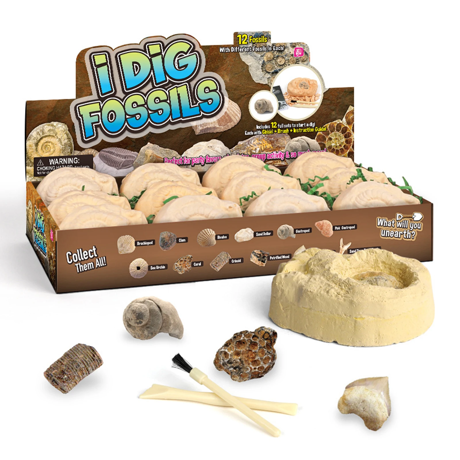A Dozen Dino Egg Digging Kit Fossils DIY Part Educational Archeology