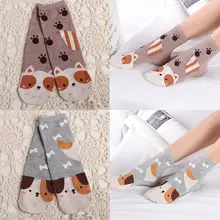 5 пар, женские кавайные прямые Гольфы с милым рисунком собаки, кошки, белки, чулочно-носочные изделия