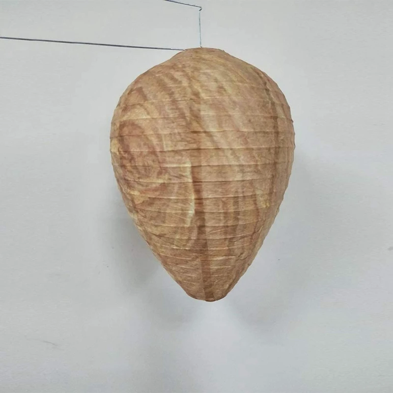  ȿ ģȯ   , ̳ ̽ ¥  ,  ¥ Ʈ, 4 