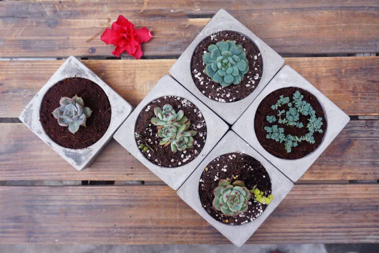 HTB16VATRFXXXXaQapXXq6xXFXXXm