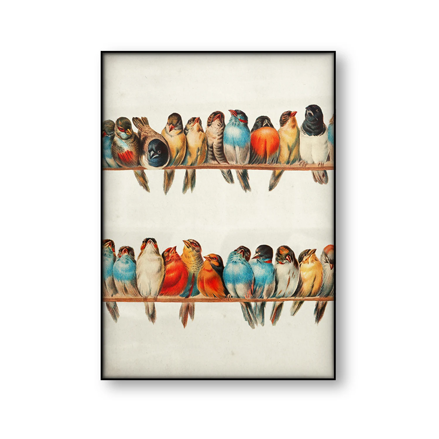 Vintage Bird Poster Retro Wall Art Colorful Bird Illustration Antique