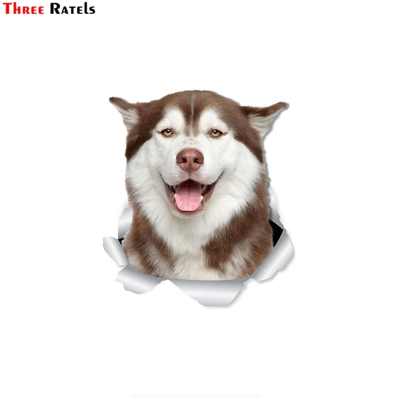 Three Ratels Ftc-1050 Happy Siberian Husky Dog Decalcomanie Da Parete Adesivo 3D Per Pareti Toilette Decorazione Della Casa