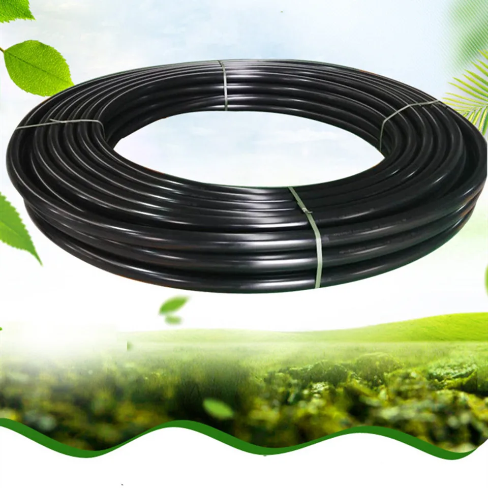 10998444749_1931780196_副本_副本