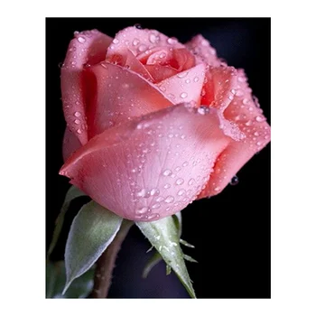 

Water drops Rose Flower Diamond Painting floral Full Drill 5D Nouveaute DIY Mosaic Embroidery Cross Stitch home decor gift