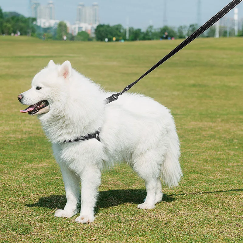 TUFF HOUND собачий Светоотражающий Поводок для собак для прогулок DogLeash свинец для маленьких средних и больших собак питбуль бульдог Мопс Бигль