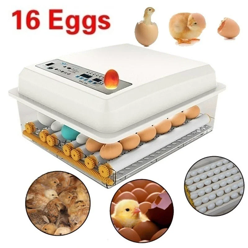 Eggs Incubator 16 Digita Mini Automatie Incubatores with Turner for Hatching Turkey Goose Quail Chicken Egg Hatcher Machine | Дом и сад