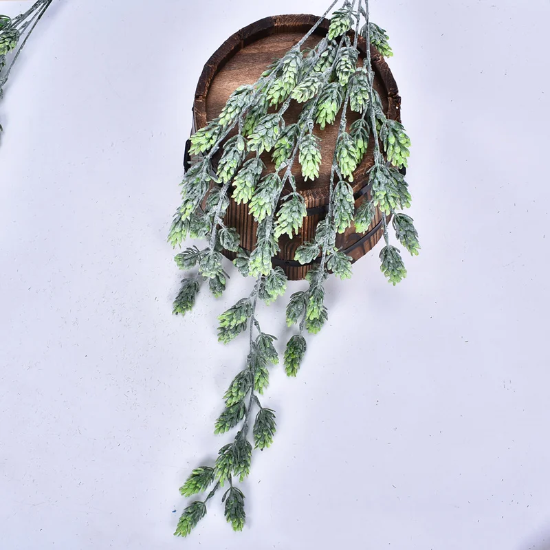 11293219814_1242088923