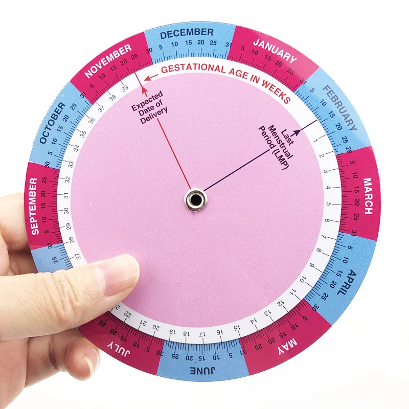 1pcs PVC Gestation Calculator wheel pregnancy goniometer expected date of birth calculator