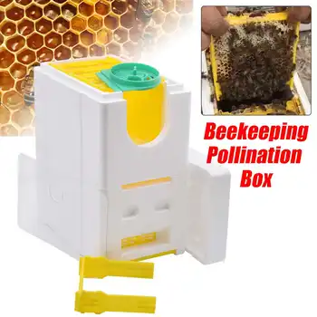 

Honey Beehive Frames Beekeeping Boxes Bee Mating Copulation Box Bee Hive King Pollination Box Bubble Beekeeping Equipments