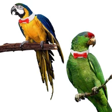 Домашний костюм птицы одежда Уход для попугая красный галстук прекрасный ошейник с бантиком декоративный воротник
