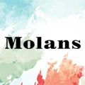 Molans Pro Store