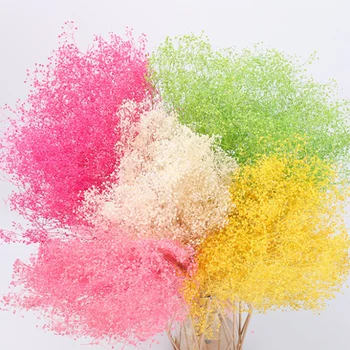 

Dreaming Eternal Gypsophila Natural True Dried Flowers Wedding Party Decoration Home Garden Decor Biodegradable Pollution-free