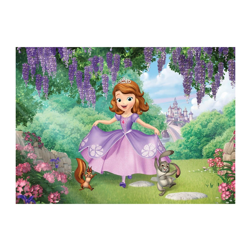 디즈니 공주 파티 생일 배경 Decors 비닐 헝겊 파티 배경  샤워 용품 Cinderelia Sofia Snow White