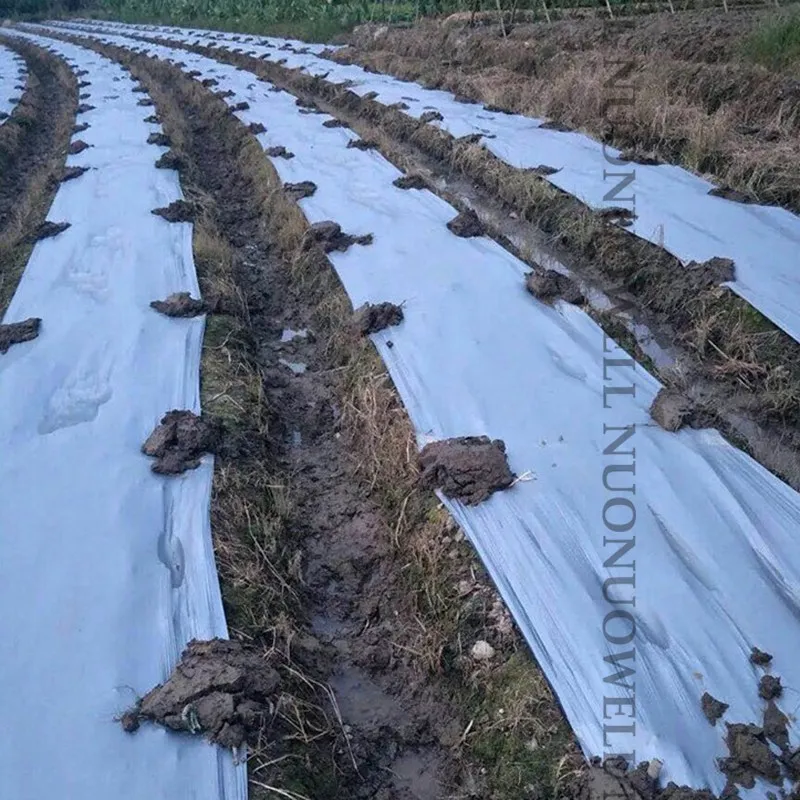 300m2/рулон 0,012 мм серебристо-черная отражающая пластиковая мульчированная пленка сельскохозяйственный фруктовый тройник двухцветная посадочная пленка