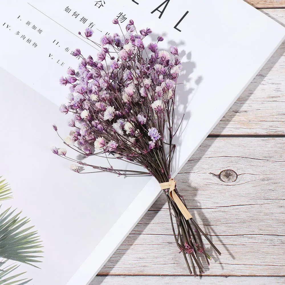 Mini Natural Fresh Dried Preserved Flowers Small Natural Dried Flowers Bouquet Dry Flowers Press Photography Photo Decor Artificial Flowers Aliexpress Mini Natural Fresh Dried Preserved Flowers Small Natural Dried Flowers Bouquet Dry Flowers Press Photography Photo Decor Artificial Flowers Aliexpress