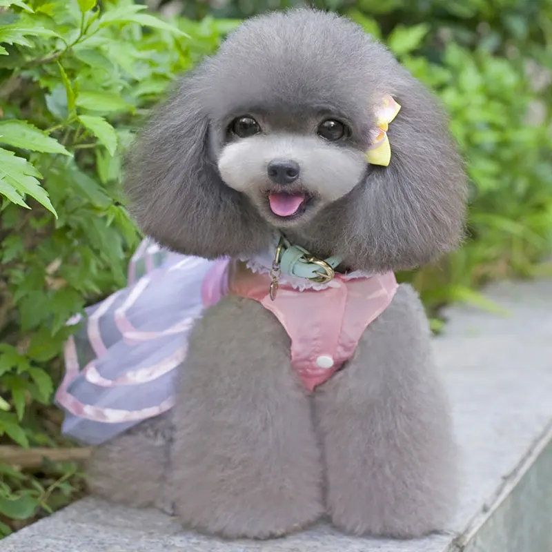 

Small Dog Cat Dress Fashion Stripes Lapel Pet Dress Cute Flower Bow Kitten Puppy Skirt Summer Mesh Dogs Clothes Pet Supplies