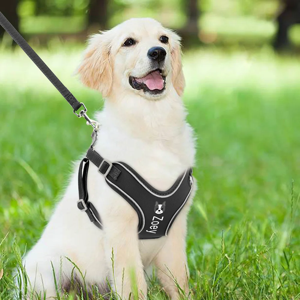 Custom Dog Harness Leash Set Personalized Dog Harness No Pull Reflective Adjustable Pet Harness Vest For Small Medium Large Dogs