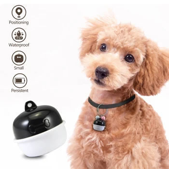 

Paipaitek GPS Pet Tracker, Real-Time Dog Locater & Activity Monitor, 30 Days Ultra Long-Lasting Battery Lightweight Waterproof