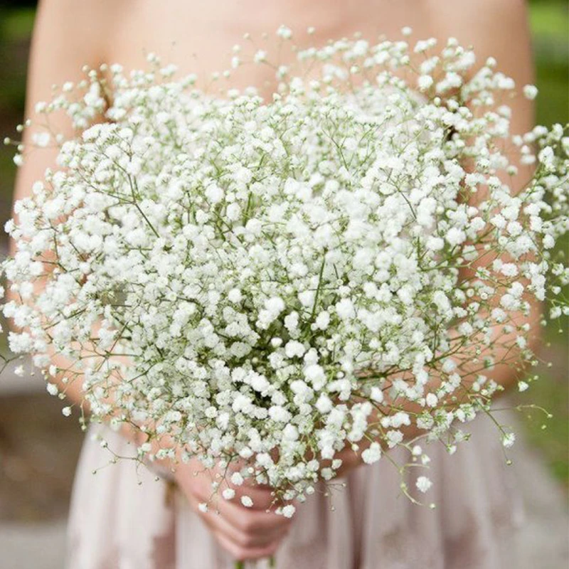 1 5pcs White Babys Breath Artificial Flowers Gypsophila Plastic Flowers For Home Decorative Diy Wed Party Decoration Fake Flower Artificial Dried Flowers Aliexpress