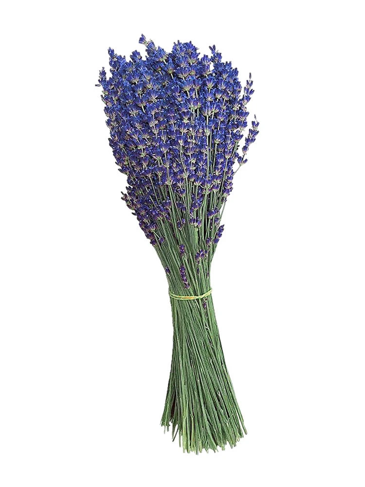 Ramo de Flores secas naturales de lavanda, ramos de plantas florales,  decoración de fiesta en casa, regalo de fiesta, Flores, decoración de boda| Flores artificiales y secas| - AliExpress