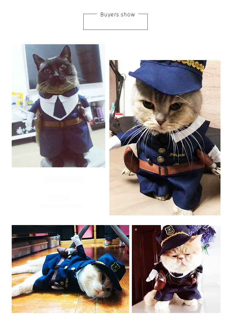 H7b593203a7ea4c94b8b5a8daa2fc04ddl