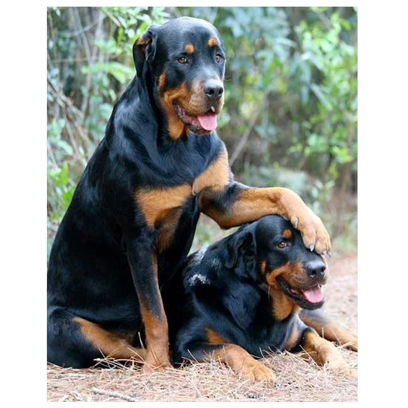 Hf348fe1428cf4c4ca7b7ae0236eed4dbH