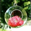 8PCS Transparent Hanging Glass Globe Shape Vase Flower Plant Container Micro Landscape Garden Decoration Pendant 4