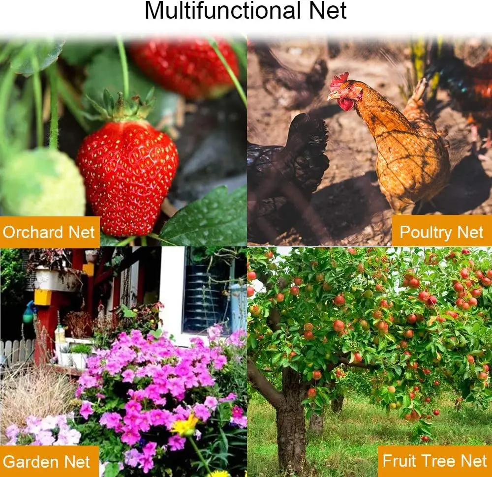 Ha855aef35045433f9ab54529f2fdca4eT