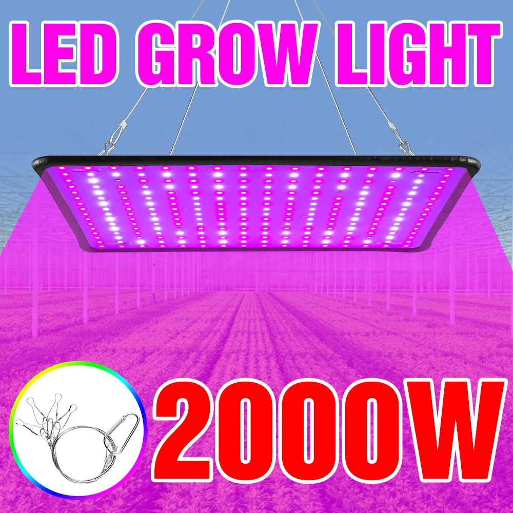 Led Grow Light 2000W Phyto Grow Lamp 2835 Leds Phytolamp Per Piante Crescita Illuminazione Spettro Completo Scheda Quantistica Per Piante Da Interno