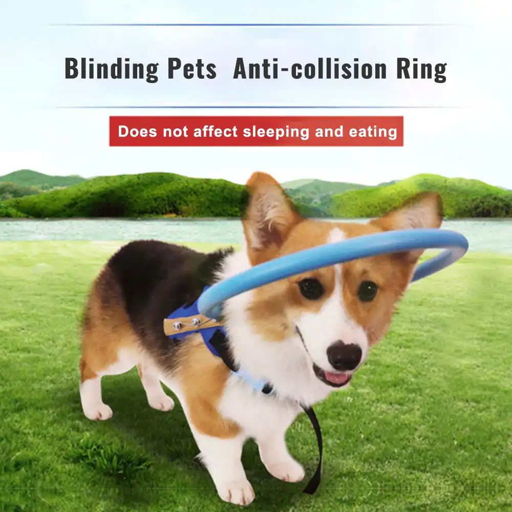 Dog harness pet circle Clearance